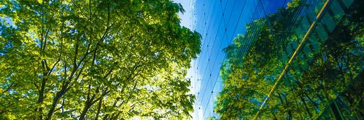 blue glass office building windows exterior with view of sky and trees