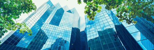 Upward view of trees against glass skyscrapers