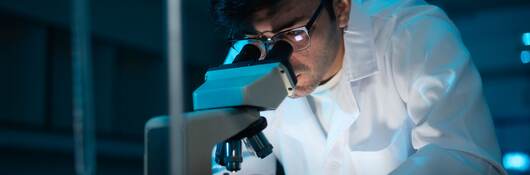 Young scientist working in the laboratory